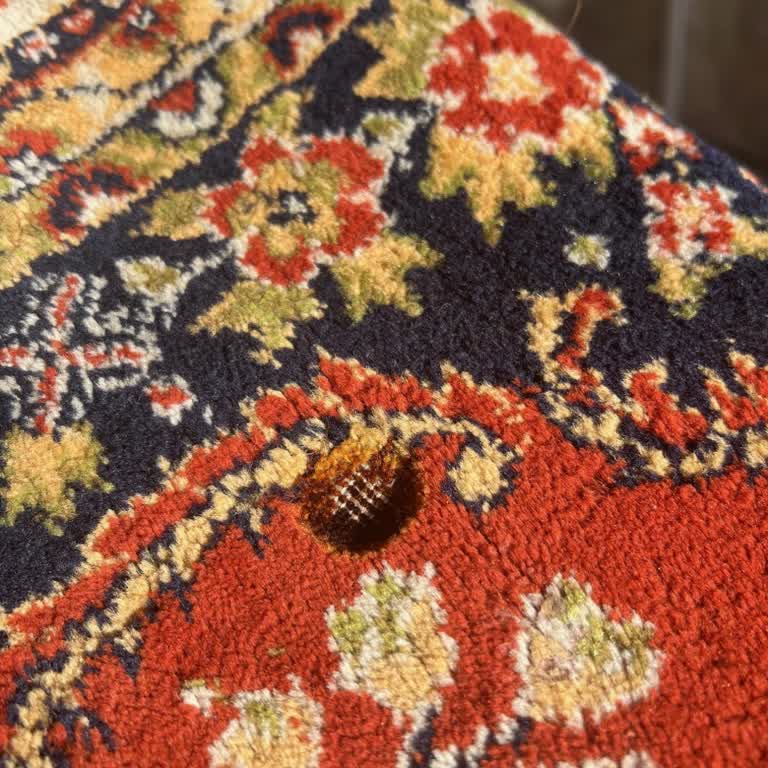 Gül Halı Yıkama (İstanbul) Başakşehir Şubesinde Halı Yıkama Sorunu