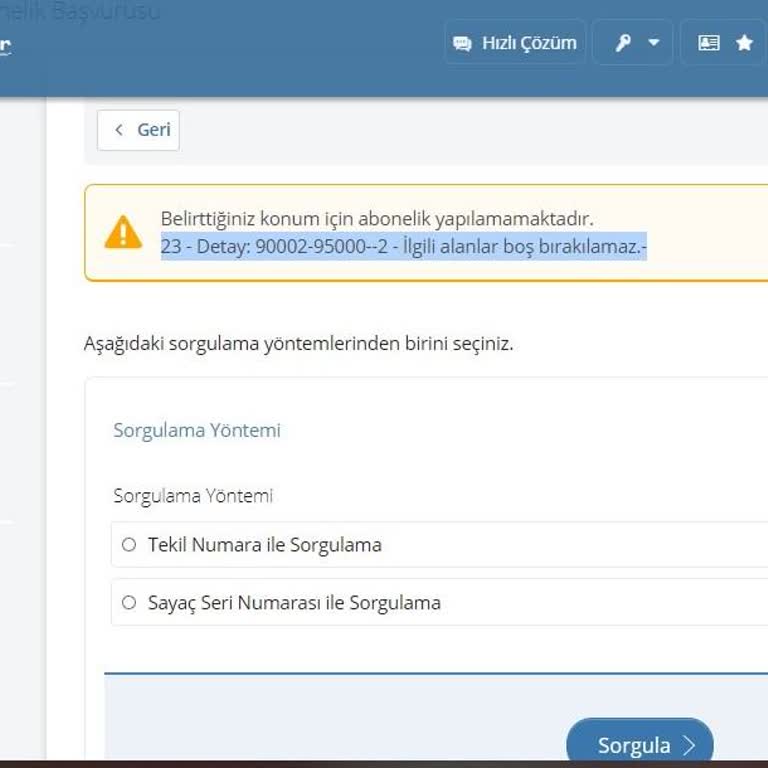 e-Devlet (Turkiye.gov.tr) 23 - Detay: 90002-95000--2 - İlgili Alanlar Boş Bırakılamaz Hatası!