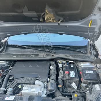 Peugeot 2008 Kaput Keçesi Sorunu Zeytinburnu Odak Sorunu Üstlenmiyor