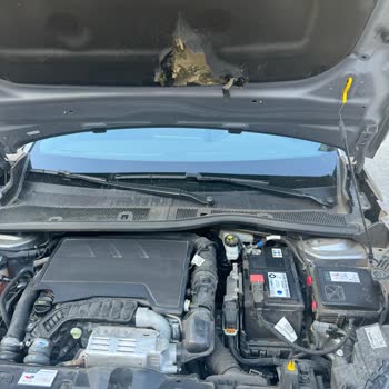 Peugeot 2008 Kaput Keçesi Sorunu Zeytinburnu Odak Sorunu Üstlenmiyor