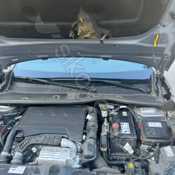 Opel Odak Plaza Peugeot 2008 Kaput Keçesi Sorunu Zeytinburnu Odak Sorunu Üstlenmiyor