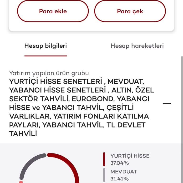 Ak Portföy Dijital Tl Hesabı Pişmanlıktır!