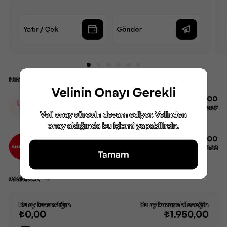 Papara Veli Telefonu Değişikliği