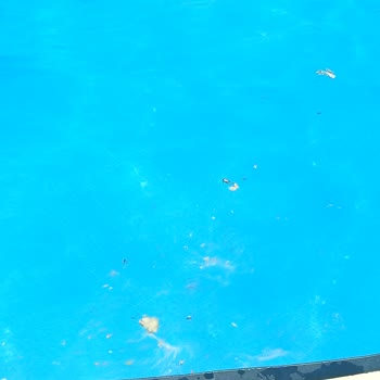 Golden Beach Otel Bodrum Pis Bir Otel