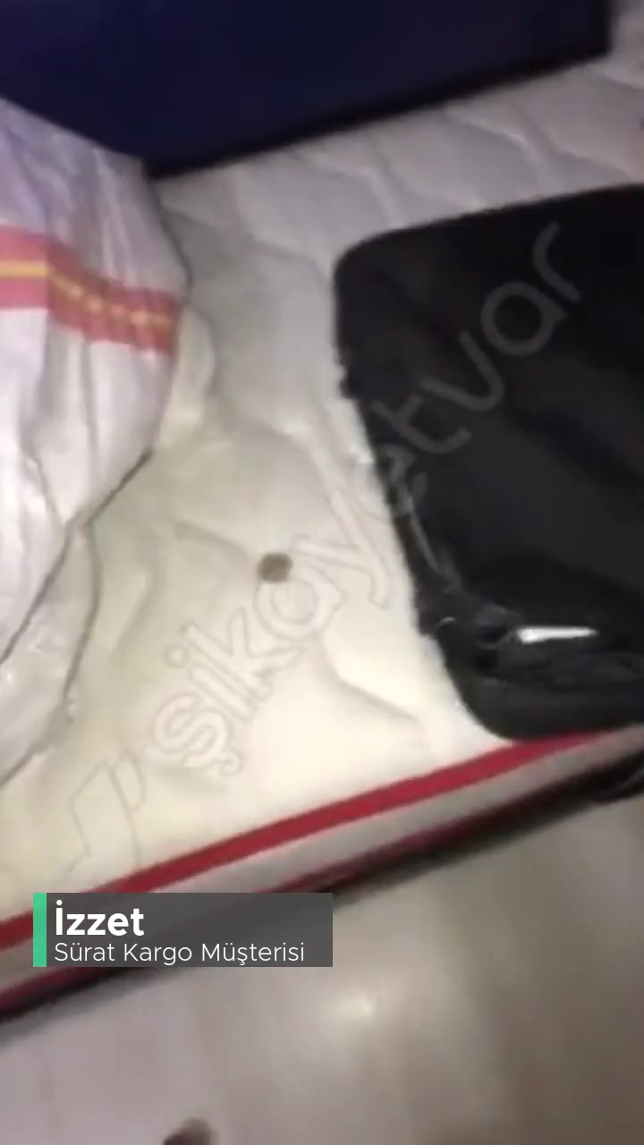 Sürat Kargo Kargom Parçalanarak Kontrol Edilmiş videonun kapak resmi