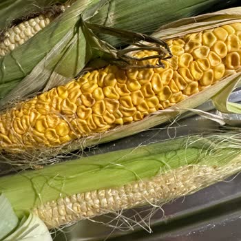 Trendyol Hızlı Market Bozuk Ürün Ve Yetersiz Müşteri Hizmeti Deneyimi