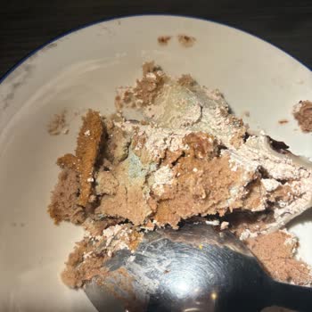 Saray Pastanesi (İkitelli) Küflenmiş Pasta Satıyor!