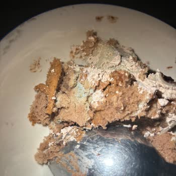 Saray Pastanesi (İkitelli) Küflenmiş Pasta Satıyor!