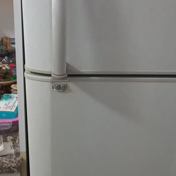 Vestel Buzdolabı Kapı Kulpu Şikayeti