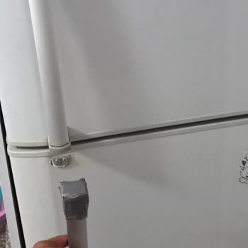 Vestel Buzdolabı Kapı Kulpu Şikayeti