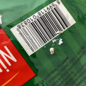 Peynes Peynir Lor Peynirden Çıkan Yabancı Cisim