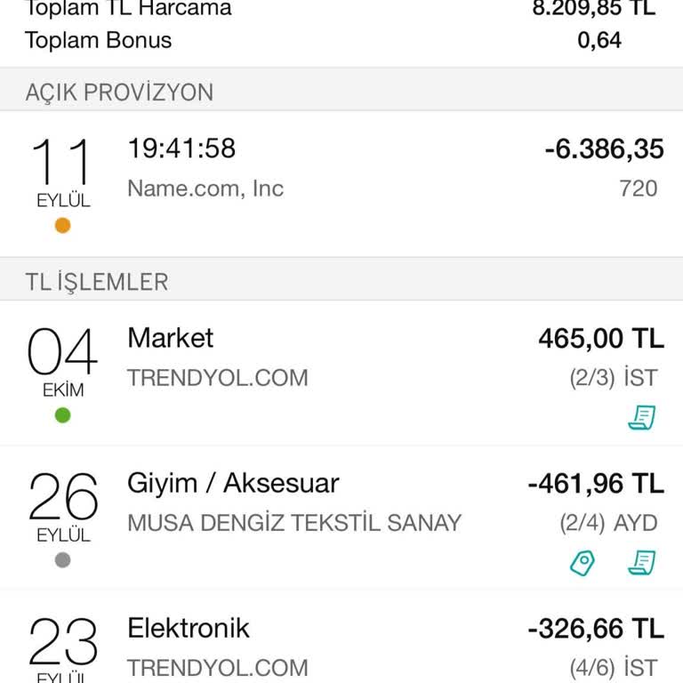 Name.com Garanti Kredi Kartımdan Bilgim Dışında Para Çekildi