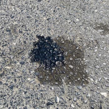 Fiat Egea Sedan 1.6 2024 Model 1.000 Km'de Şanzıman Yağı Kaçırıyor...