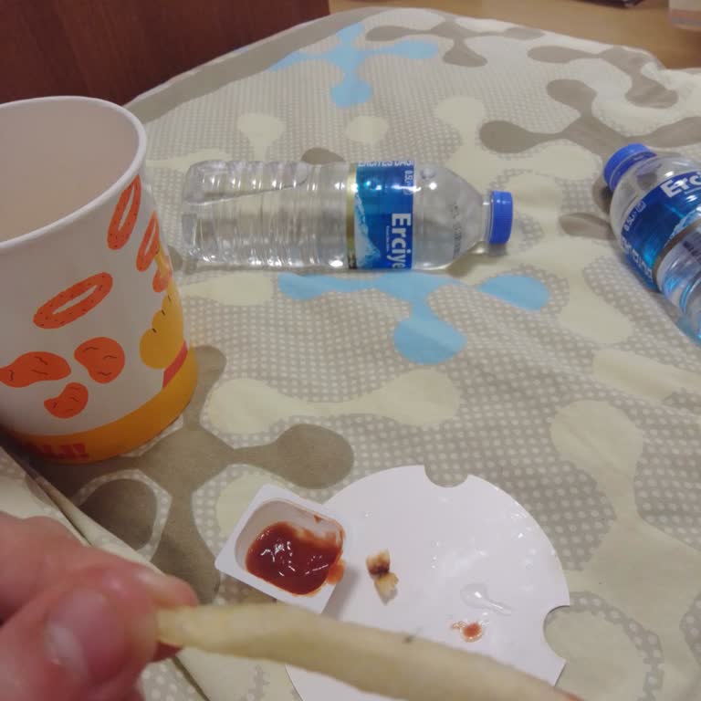 Burger King Patatesin İçinden Böcek Çıktı