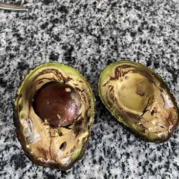 5M Migros Bozuk Avokado