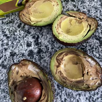 5M Migros Bozuk Avokado