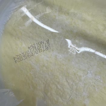 Sütkur'un Yoğurdunda Kıl Çıktı