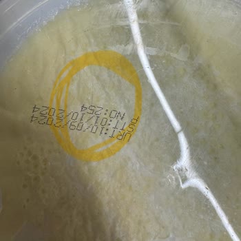 Sütkur'un Yoğurdunda Kıl Çıktı