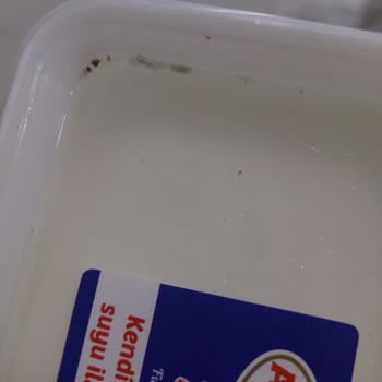 Şok Marketler Şok Küflenmiş Peynir