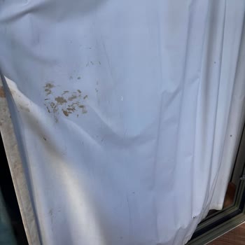 Club Med Palmiye De Pis Oda