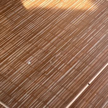 Club Med Palmiye De Pis Oda