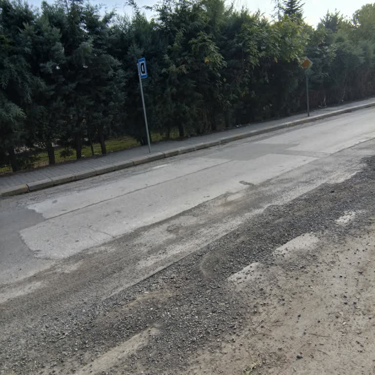Sapanca Belediyesi Şoförlerinize İşini Öğretin.