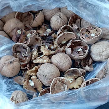 Migros'tan Aldığım Ürün