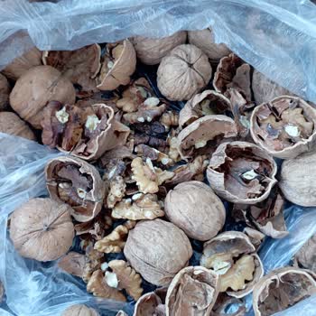 Migros'tan Aldığım Ürün