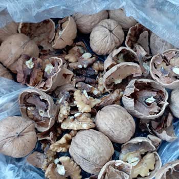 Migros'tan Aldığım Ürün