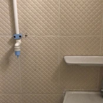 Yomra Merkez İlkokulu Her Yer Pis