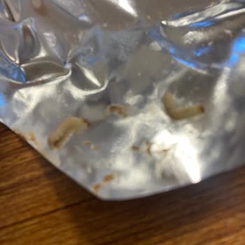 Biscolata Biskolata Bisküvi Şikayeti