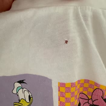 Bosch Çamaşır Makinem Giysileri Deliyor Ve Yırtıyor