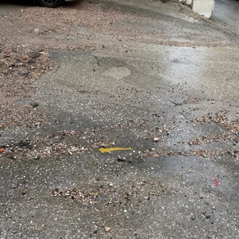 İzmir Büyük Şehir Belediyesi Ve Bayraklı Belediyesi