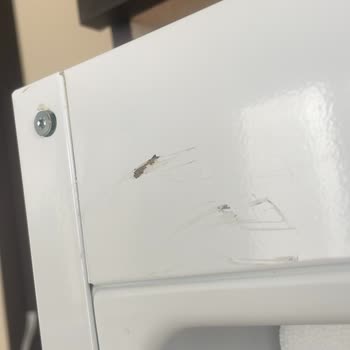 Bosch Buzdolabı Hasarlı Geldi