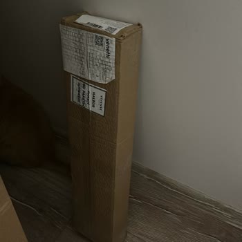 Vivense- Kurulum Gecikmesi Hakkında!