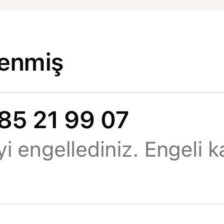 WhatsApp +227 Numaradan Arama