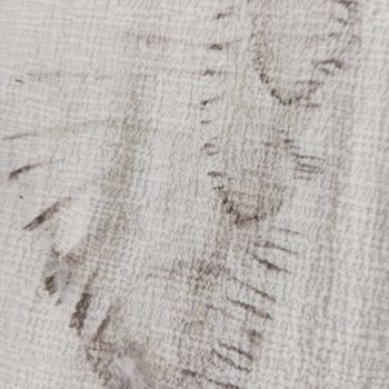 Peri Home Instagram Sitesi