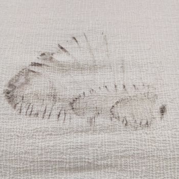 Peri Home Instagram Sitesi