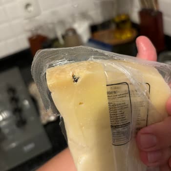 Getir Mandıradan Peynirden Böcek Çıktı