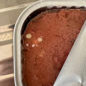 Jungle Pet Food Jungle Püre Mama İçinden Çıkan Bakteriler