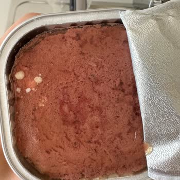 Jungle Pet Food Jungle Püre Mama İçinden Çıkan Bakteriler