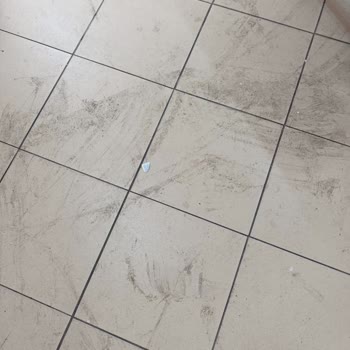 Milli Eğitim Bakanlığı Devlet Okulu Temizlik Sorunu