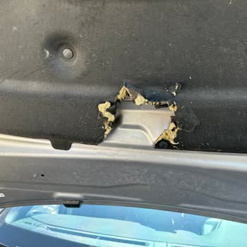 Peugeot 2008 Kaput Keçesi Kemirildi