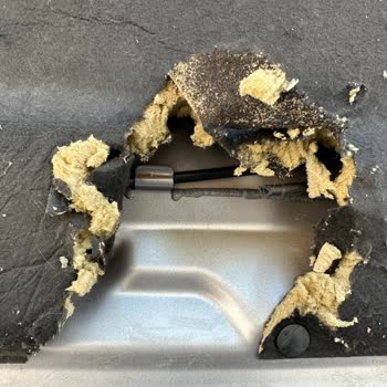Peugeot 2008 Kaput Keçesi Kemirildi
