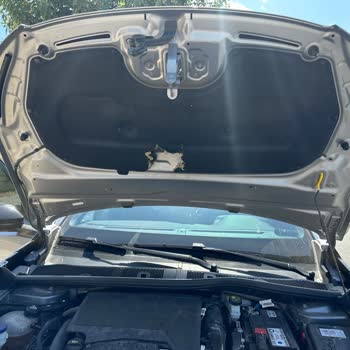 Peugeot 2008 Kaput Keçesi Kemirildi