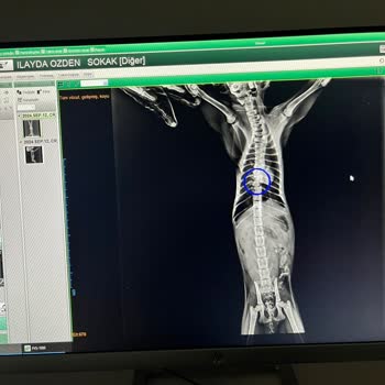 Şişli Belediyesi Şişli Bel. İtfaiye Şikayet