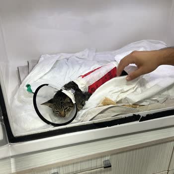 Şişli Belediyesi Şişli Bel. İtfaiye Şikayet