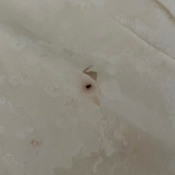 Migros'tan Aldığım Yufkadan Sinek Cıktı