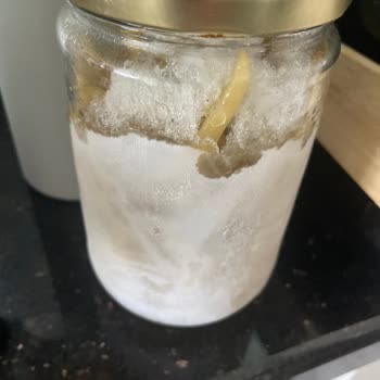 Siemens Buzdolabı Ve Çamaşır Makinesi Sorunları