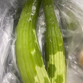 Siemens Buzdolabı Ve Çamaşır Makinesi Sorunları